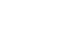 PLEXUS