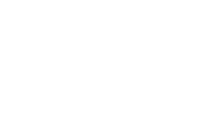 PLEXUS EXCEL